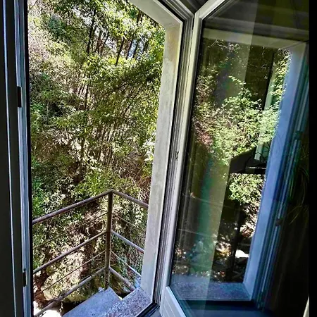 House Within Walking Distance Of The Apartment