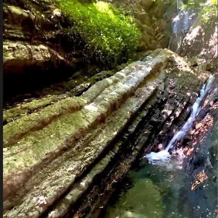 House Within Walking Distance Of The *