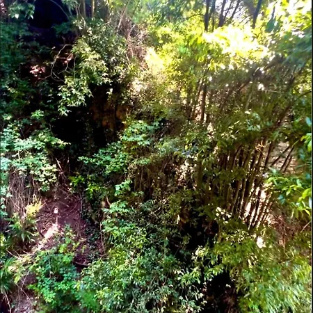 House Within Walking Distance Of The Apartamento *