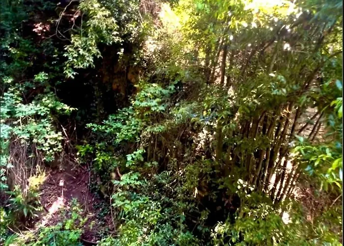 House Within Walking Distance Of The Appartement *